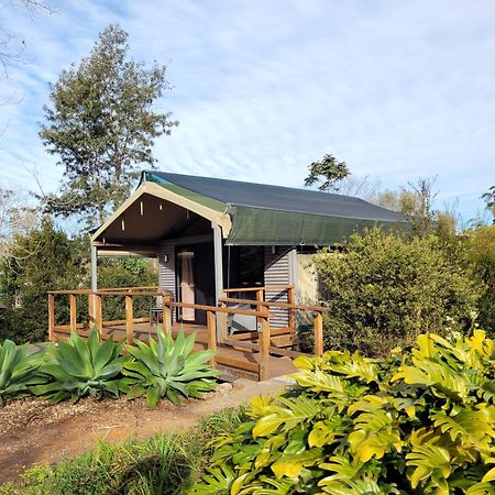 Southern Sky Glamping タンボリーン・マウンテン エクステリア 写真
